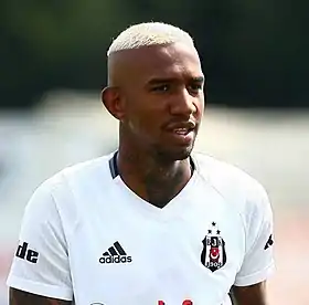 Image illustrative de l’article Talisca