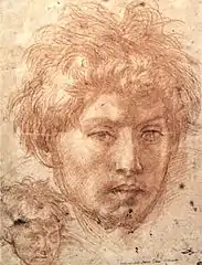 Tête d'homme,Andrea del Sarto