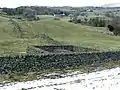 Sheepfold (1996-2003) : enclos à moutons (Crook, Lake District) avec arbre poussant dans un trou du rocher.
