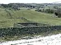 Sheepfold (1996-2003) : enclos à moutons de Crook, avec arbre poussant dans un trou du rocher.