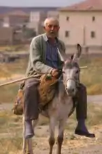 Un paysan de Cappadoce et son âne
