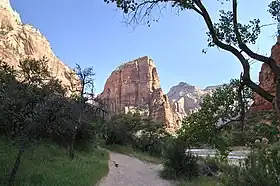 Angels Landing