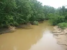 Vue d'un cours d'eau boueux bordé d'arbres.
