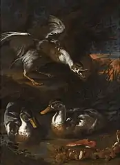 Canards dans un paysage boisé et champignons (XVIIe siècle), Angelo Maria Rossi