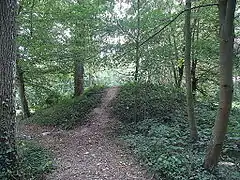 Le tumulus du Bois de la Lune.