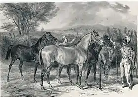 Gravure du cheval Angevin dans l'Atlas statistique de la production de chevaux en France, 1850.