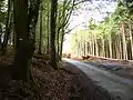 Exploitation forestière dans les Monts de Lacaune.