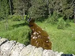 L'Aude vue de la D 32, première route qu'elle croise depuis sa source.