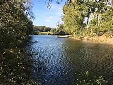 Le confluent avec l'Anglin en 2018.