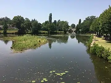 L'Anglin à Bélâbre en 2019.