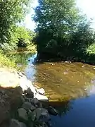 La rivière Anglin en direction de Dunet en 2016.