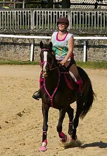 Cheval noir de face se déplaçant au trot, sa cavalière et lui présentant une tenue classique pour une épreuve d’endurance : un filet et collier de chasse en vinyle, ainsi que des protections en néoprène pour le cheval et un pantalon souple et de grandes chaussettes montantes pour la cavalière ; le tout étant dans les coloris roses.