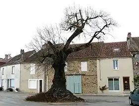 Angoisse (Dordogne)