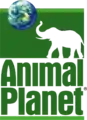 Logo d'Animal Planet de 1997 à 2008