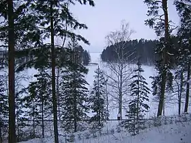 Image illustrative de l’article Simpelejärvi
