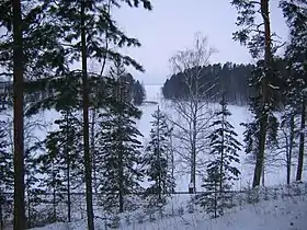 Baie Anitsanlahti du lac Simpele.