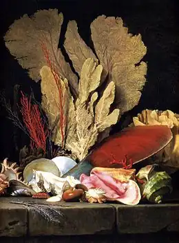 Panaches de mer, Lithophytes et Coquilles, 1769musée du Louvre.