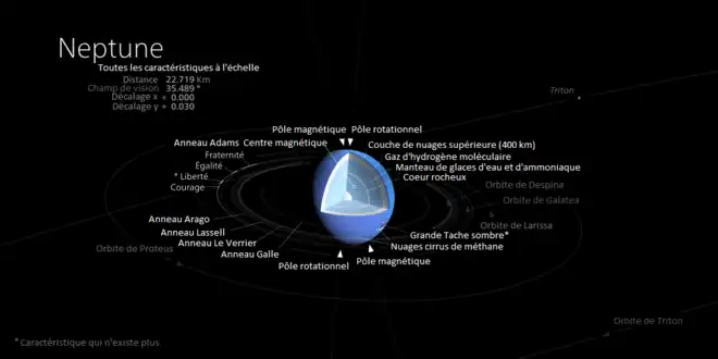 Coupe de Neptune montrant sa structure interne et son centre magnétique. Les cinq anneaux sont présentés à l'échelle avec les arcs de l'anneau Adams. Les orbites des lunes Triton, Protée, Larissa, Despina et Galatée sont également représentées à l'échelle.
