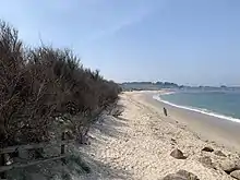 Une plage bordée de tamaris.