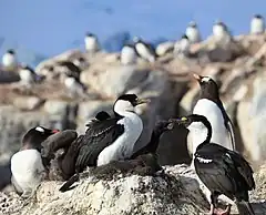 Description de cette image, également commentée ci-après