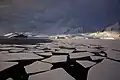 Floes polygonaux de débâcle le long de la Péninsule Antarctique.
