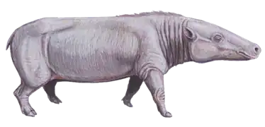 Reconstitution de Anthracotherium  (Anthracotheriidae)