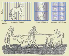 Gravure médiévale montrant des moines labourant à l'aide de bœufs, surmontée d'un schéma présentant les unités agraires de mesure de surface.