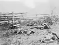 Soldats confédérés sur le champ de bataille d'Antietam, septembre 1862