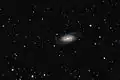 NGC 2903 par Scott Anttila, un astronome amateur.