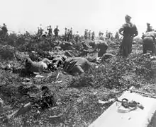 Photographie montrant plusieurs groupes de soldats s'affairant autour de corps dispersés dans un paysage de broussailles