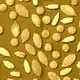 Photo jaune de graines dispersées sur un plan
