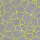 Image de grains d'un matériaux et joints entre les grains en jaune