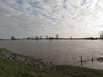 Appeltern, riviére: de Maas