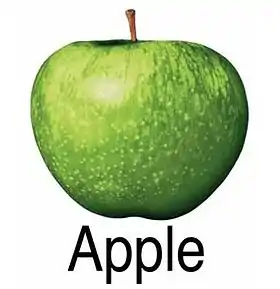 Description de l'image Applecorps.jpg.
