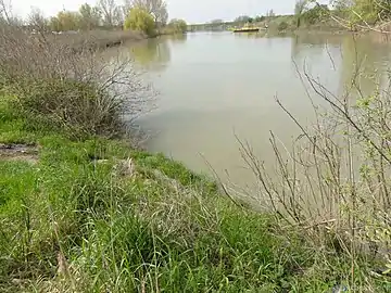 Le Reno dans la province de Ravenne en avril 2013.