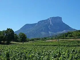 Vue sur le Granier et le vignoble d'Apremont.