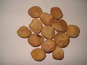 Des abricots secs ayant encore leurs noyaux.