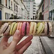 Macarons français fabriqués à base d'aquafaba.