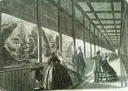 L'aquarium (1863).