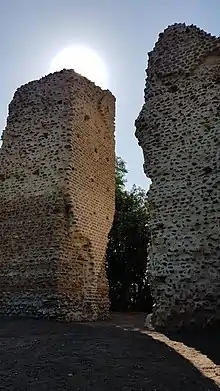 Deux massifs de briques proches, hauts d'une douzaine de mètres et entièrement recouverts de lierre.