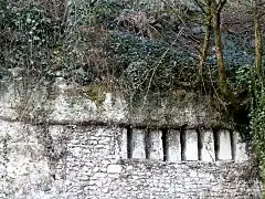 Vue d'une maçonnerie linéaire insérée à flanc de coteau au-dessus d'une cave.