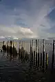 Vue sur le bassin d'Arcachon.