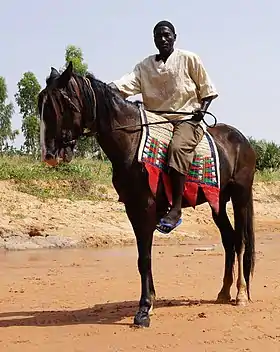 Cavalier agricole au Niger