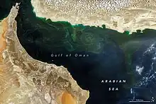 Observation par satellite de la noctiluca scintillans dans le golfe d'Oman en mai 2019