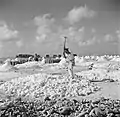 Journaliers au travail en 1947 sur Oranje Pan.