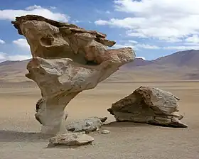 Árbol de Piedra sur l'altiplano bolivien.