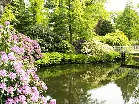 Image illustrative de l’article Jardins et arboretum de Trompenburg