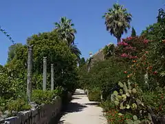 Les scènes extérieures sont réalisées à l'arboretum de Trsteno.