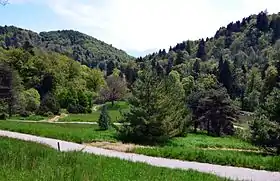 Image illustrative de l’article Arboretum national du vallon de l'Aubonne