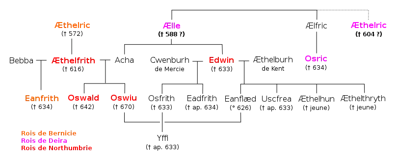 Représentation graphique de la famille d'Edwin